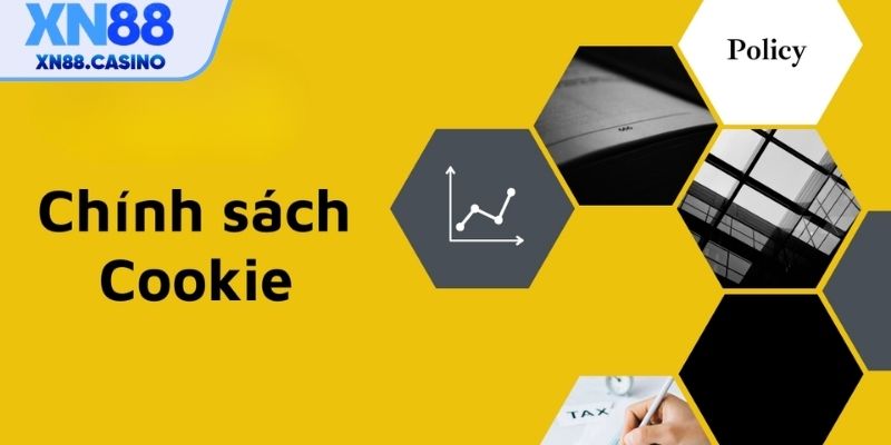 Quyền lợi và lựa chọn của bạn với chính sách cookie