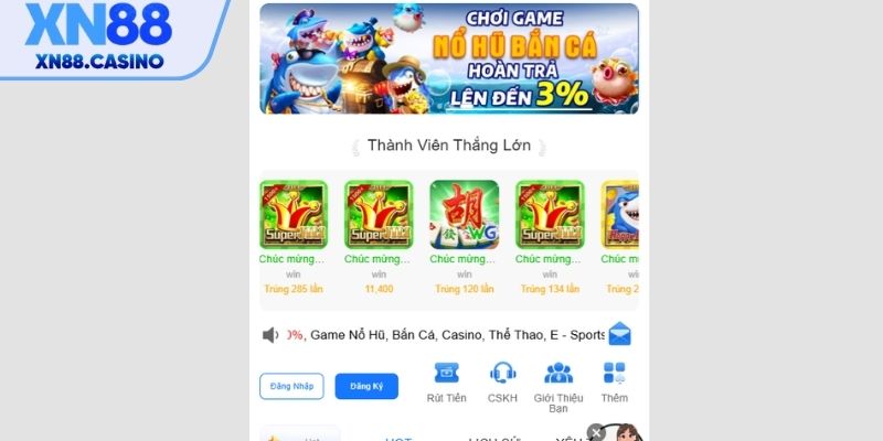 Quá trình hình thành XN88 là gì?